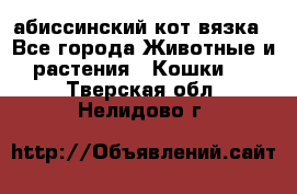 абиссинский кот вязка - Все города Животные и растения » Кошки   . Тверская обл.,Нелидово г.